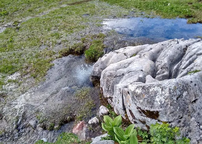 Διαμέρισμα Sarah *