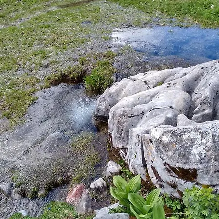 Апартаменты Sarah *