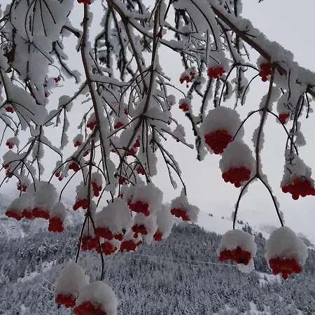 Апартаменты Sarah Штег